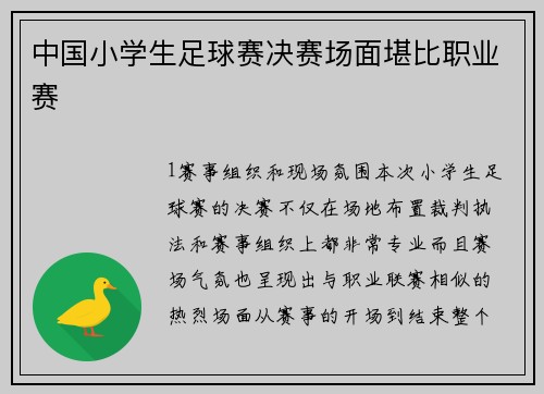 中国小学生足球赛决赛场面堪比职业赛